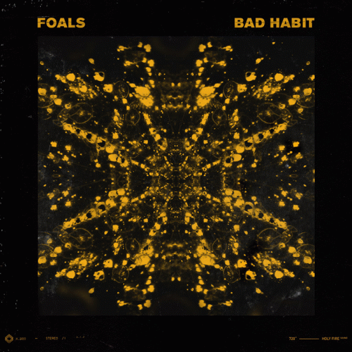 Foals : Bad Habit